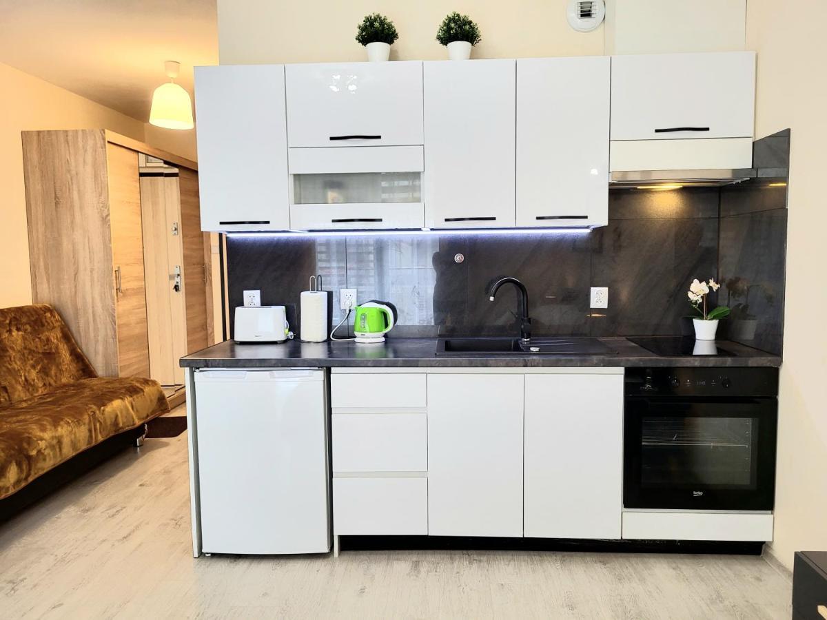 Cracow Novum Apartment Downtown 4 Persons Kraków Eksteriør billede